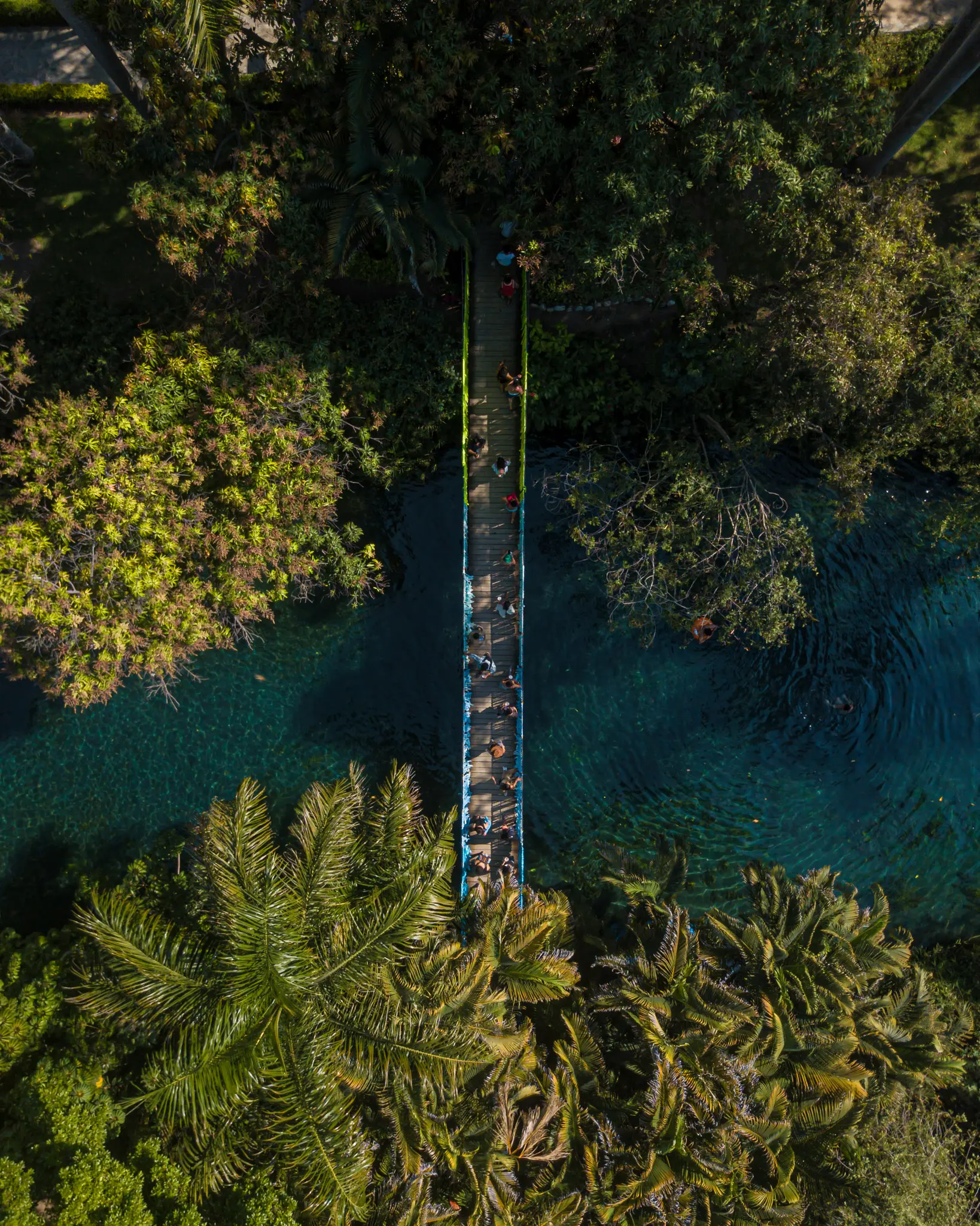 BAHIDORA2020_0215_143438-0258_ALIVECOVERAGE