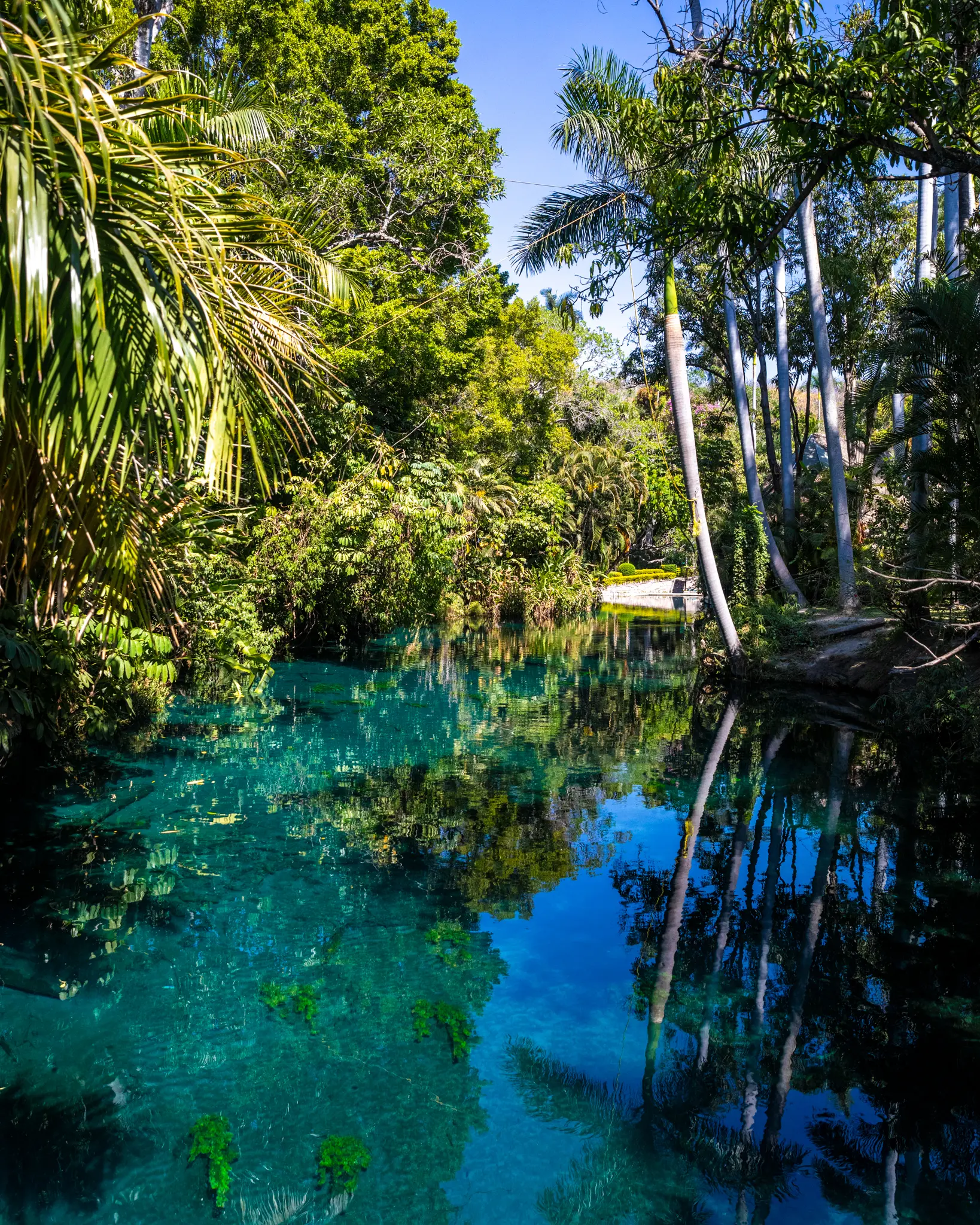 BAHIDORA2022_0218_120034-8175_ALIVECOVERAGE