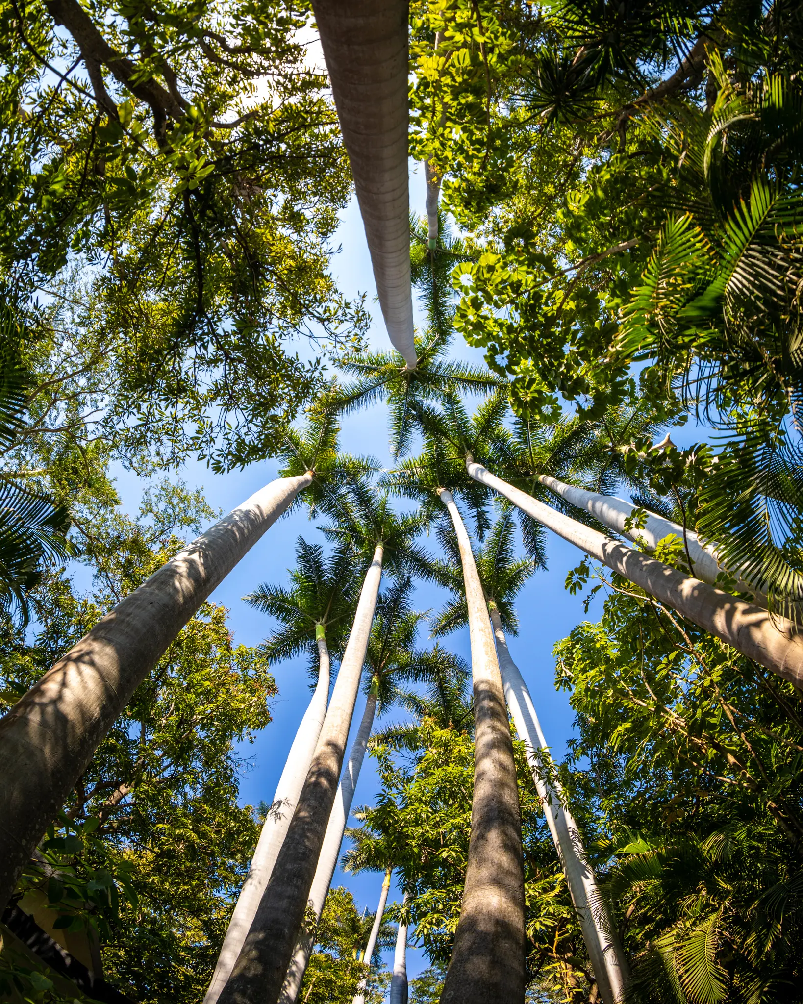 BAHIDORA2022_0218_130957-8319_ALIVECOVERAGE