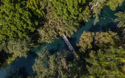 Mira el aftermovie de 2023 y conoce las fechas para 2024